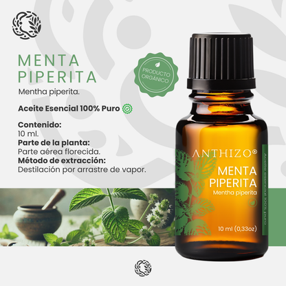 Aceite Esencial Menta Piperita (Mentha piperita), ORGÁNICO, Analgésico, Descongestionante y Dolor de Cabeza, ANTHIZO 10ml
