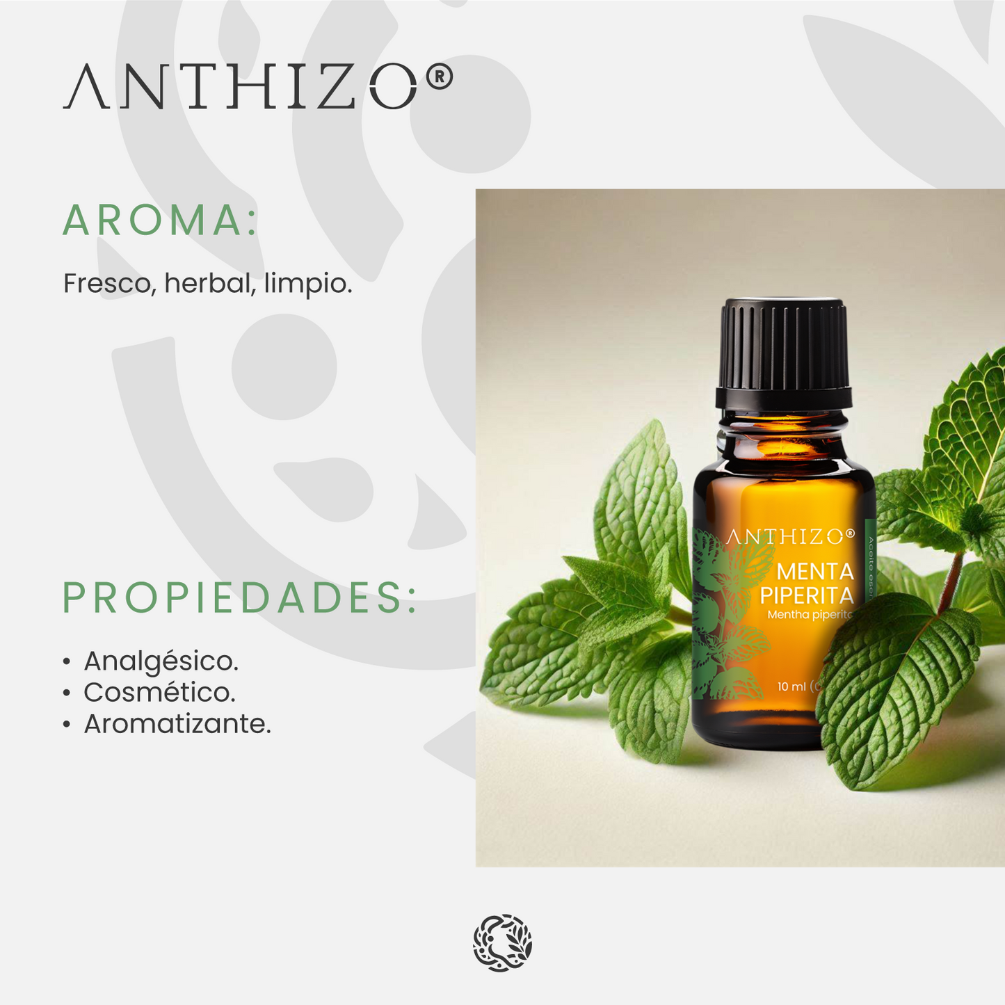 Aceite Esencial Menta Piperita (Mentha piperita), ORGÁNICO, Analgésico, Descongestionante y Dolor de Cabeza, ANTHIZO 10ml