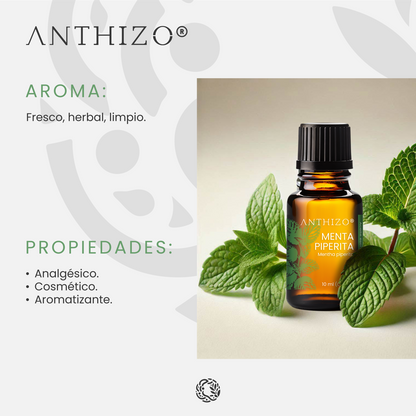 Aceite Esencial Menta Piperita (Mentha piperita), ORGÁNICO, Analgésico, Descongestionante y Dolor de Cabeza, ANTHIZO 10ml