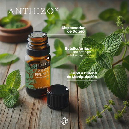 Aceite Esencial Menta Piperita (Mentha piperita), ORGÁNICO, Analgésico, Descongestionante y Dolor de Cabeza, ANTHIZO 10ml