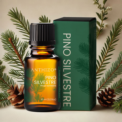Aceite Esencial Pino Silvestre (Pinus sylvestris), ORGÁNICO, Purificante, Repelente y Bienestar Respiratorio, ANTHIZO 10ml