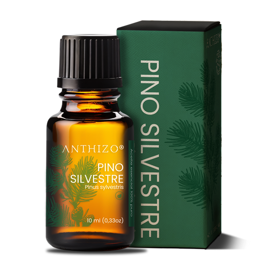 Aceite Esencial Pino Silvestre (Pinus sylvestris), ORGÁNICO, Purificante, Repelente y Bienestar Respiratorio, ANTHIZO 10ml