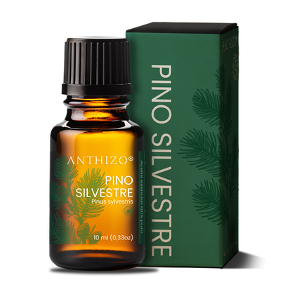 Aceite Esencial Pino Silvestre (Pinus sylvestris), ORGÁNICO, Purificante, Repelente y Bienestar Respiratorio, ANTHIZO 10ml