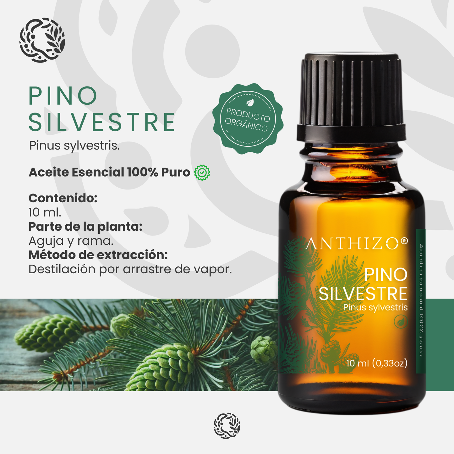 Aceite Esencial Pino Silvestre (Pinus sylvestris), ORGÁNICO, Purificante, Repelente y Bienestar Respiratorio, ANTHIZO 10ml