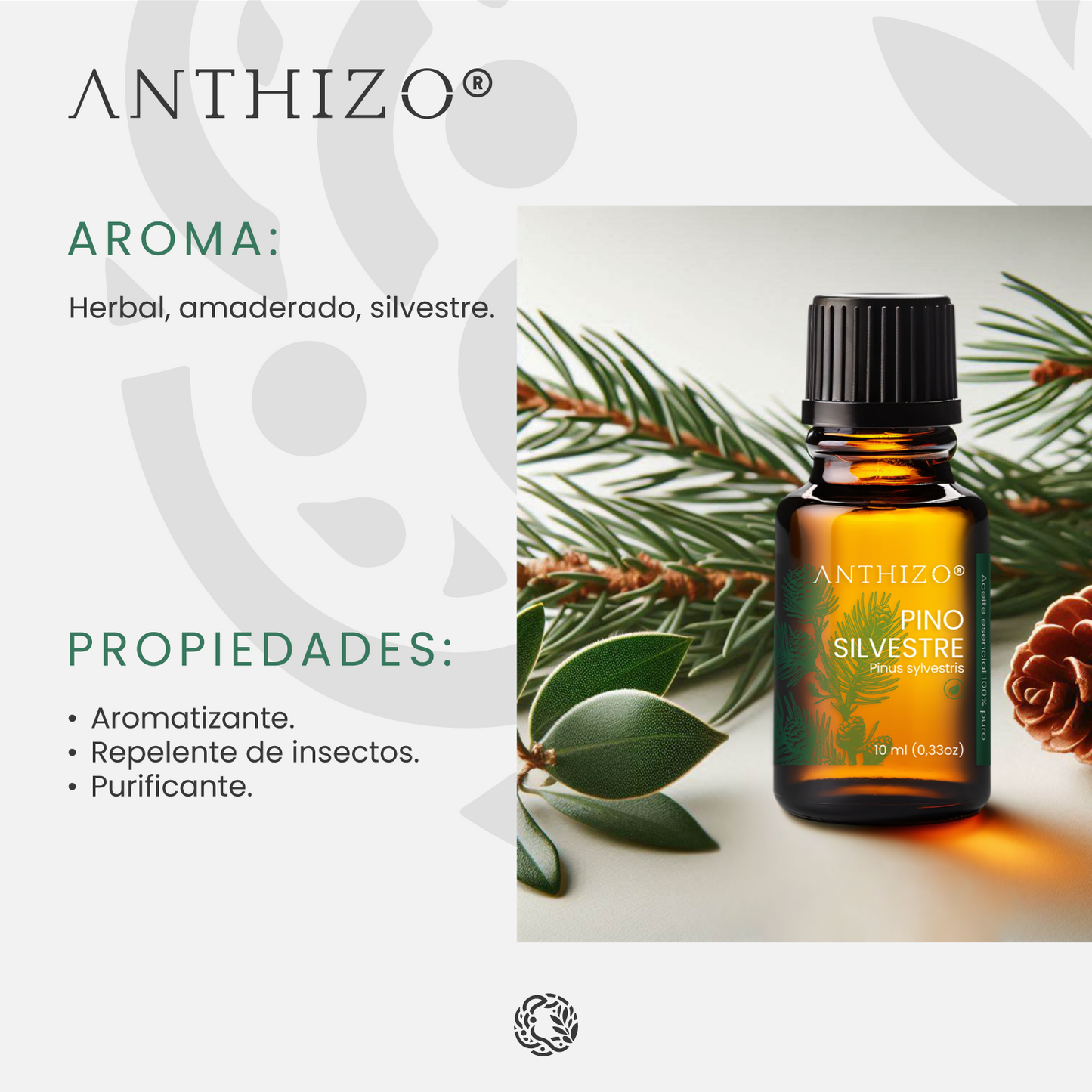 Aceite Esencial Pino Silvestre (Pinus sylvestris), ORGÁNICO, Purificante, Repelente y Bienestar Respiratorio, ANTHIZO 10ml
