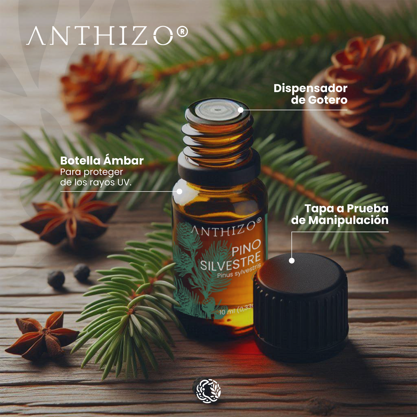 Aceite Esencial Pino Silvestre (Pinus sylvestris), ORGÁNICO, Purificante, Repelente y Bienestar Respiratorio, ANTHIZO 10ml