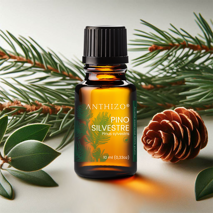 Aceite Esencial Pino Silvestre (Pinus sylvestris), ORGÁNICO, Purificante, Repelente y Bienestar Respiratorio, ANTHIZO 10ml