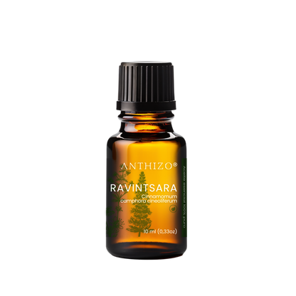 Aceite Esencial Ravintsara (Cinnamomum camphora), ORGÁNICO, Refuerzo Inmunológico, Antiviral y Descongestión, ANTHIZO 10ml
