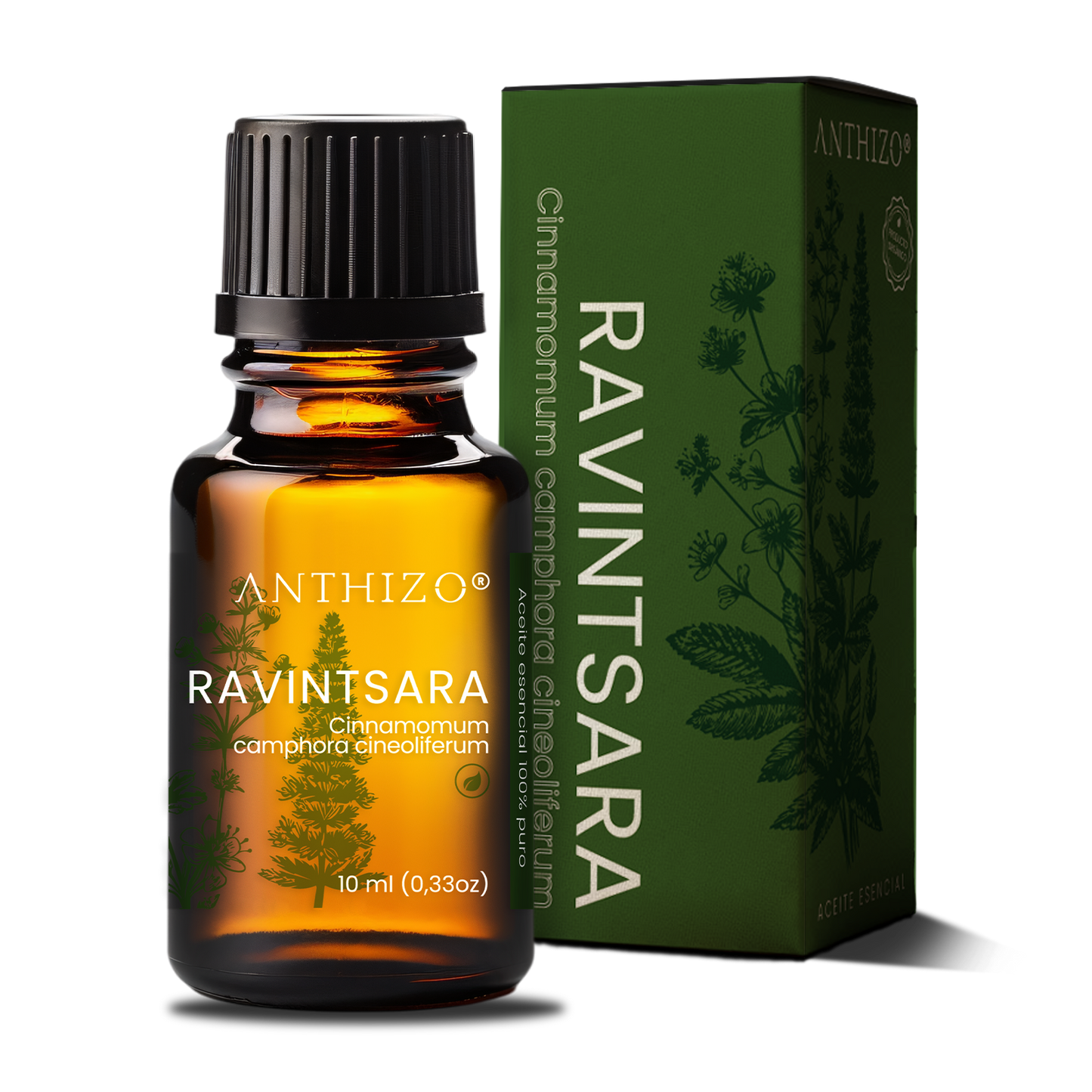 Aceite Esencial Ravintsara (Cinnamomum camphora), ORGÁNICO, Refuerzo Inmunológico, Antiviral y Descongestión, ANTHIZO 10ml