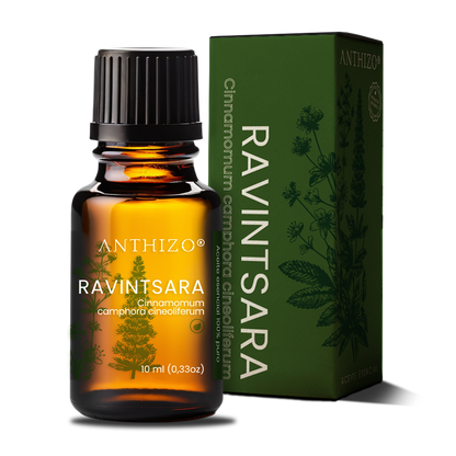 Aceite Esencial Ravintsara (Cinnamomum camphora), ORGÁNICO, Refuerzo Inmunológico, Antiviral y Descongestión, ANTHIZO 10ml