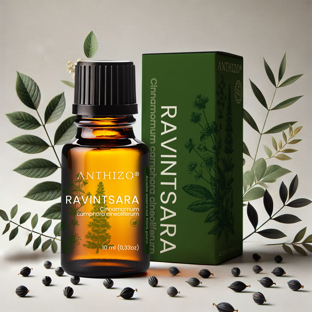 Aceite Esencial Ravintsara (Cinnamomum camphora), ORGÁNICO, Refuerzo Inmunológico, Antiviral y Descongestión, ANTHIZO 10ml