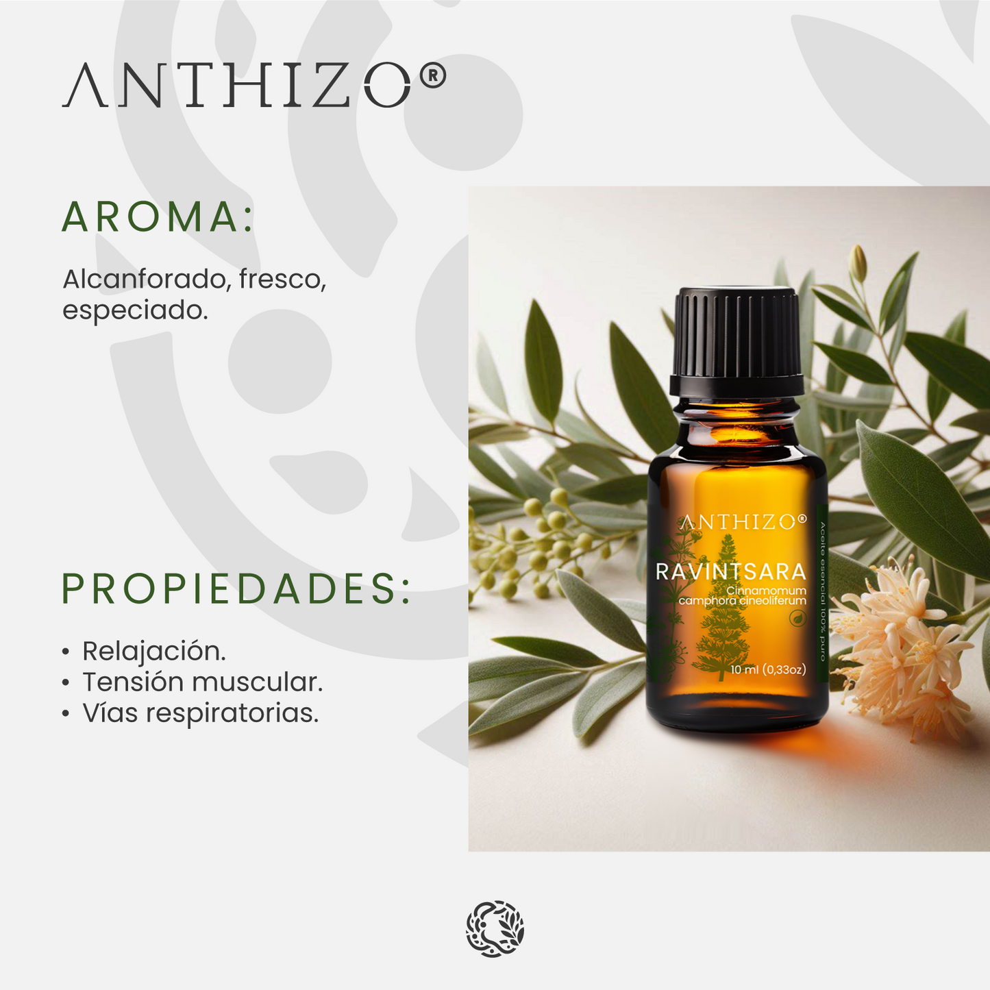 Aceite Esencial Ravintsara (Cinnamomum camphora), ORGÁNICO, Refuerzo Inmunológico, Antiviral y Descongestión, ANTHIZO 10ml