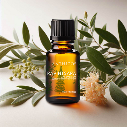 Aceite Esencial Ravintsara (Cinnamomum camphora), ORGÁNICO, Refuerzo Inmunológico, Antiviral y Descongestión, ANTHIZO 10ml