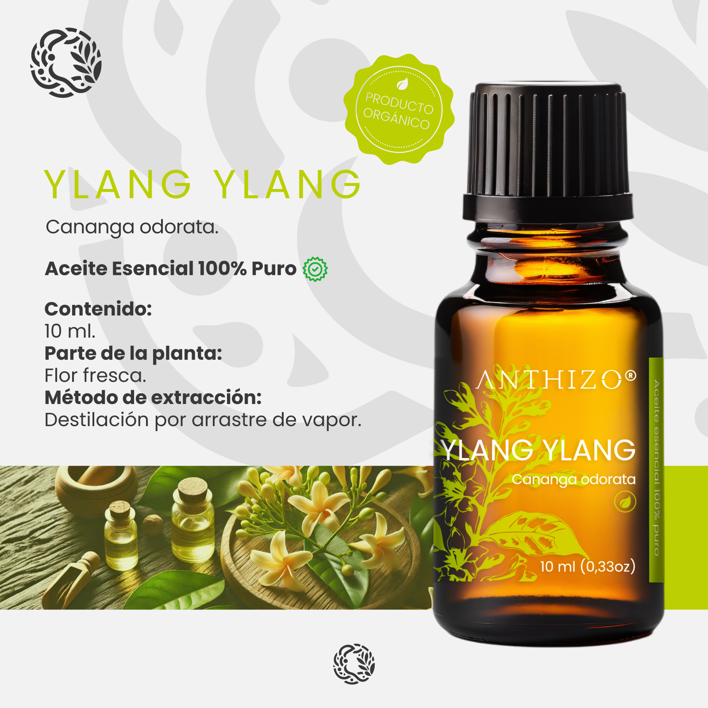 Aceite Esencial Ylang Ylang (Cananga odorata), ORGÁNICO, Cabello Brillante, Sebo Capilar y Afrodisíaco, ANTHIZO 10ml