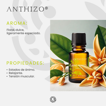 Aceite Esencial Ylang Ylang (Cananga odorata), ORGÁNICO, Cabello Brillante, Sebo Capilar y Afrodisíaco, ANTHIZO 10ml