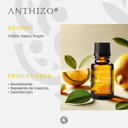 Aceite Esencial Limón Amarillo (Citrus limon), 100% Puro, Desinfectante, Desintoxicante y Limpieza Hogar, ANTHIZO 10ml