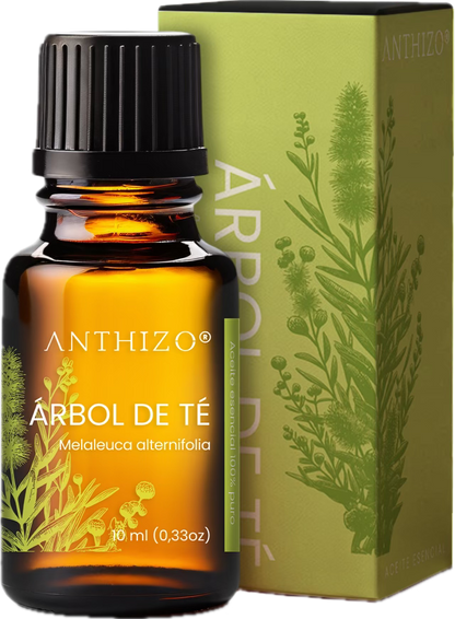 Aceite Esencial Árbol de Té (Melaleuca alternifolia), 100% Puro, Antimicótico, Antiséptico y Acné, ANTHIZO 10ml