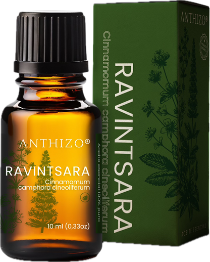 Aceite Esencial Ravintsara (Cinnamomum camphora), ORGÁNICO, Refuerzo Inmunológico, Antiviral y Descongestión, ANTHIZO 10ml