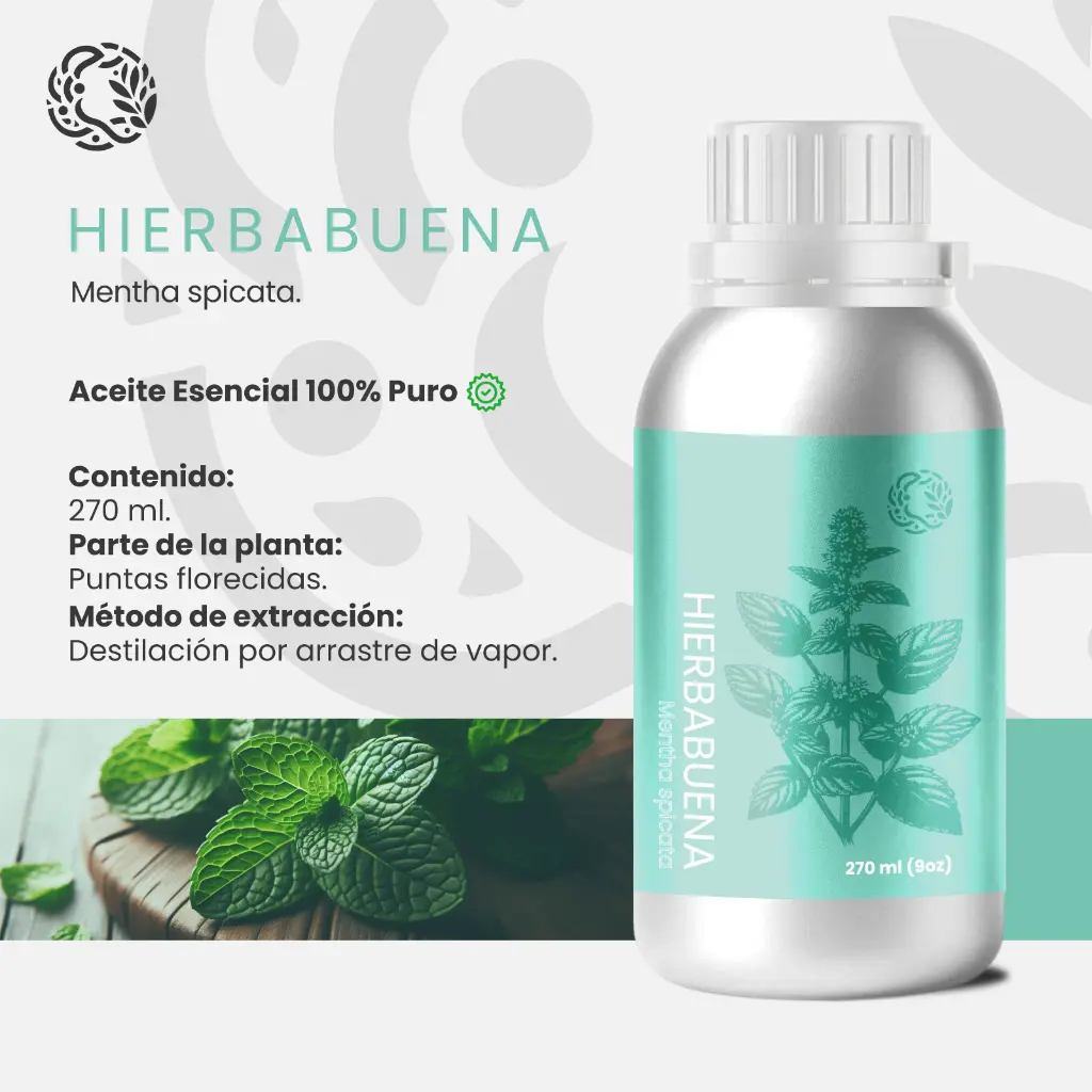 01MMENSPI_Hierbabuena_270mL_Amazon_01.webp