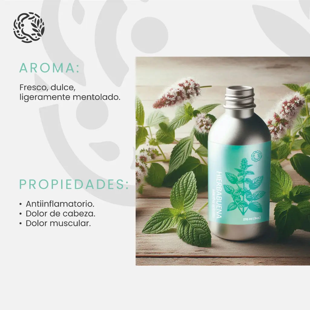 01MMENSPI_Hierbabuena_270mL_Amazon_03.webp