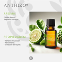 Aceite Esencial de Bergamota, 100% Puro, ANTHIZO