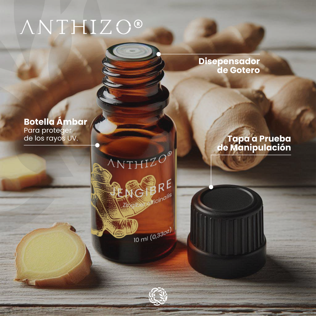 Aceite Esencial de Jengibre (Zingiber officinalis), 100% Puro, ANTHIZO