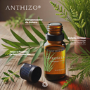 Aceite Esencial de Citronela (Cymbopogon nardus), 100% Puro, ANTHIZO
