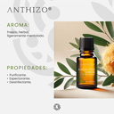 Aceite Esencial de Eucalipto Limón (Eucalyptus citriodora), 100% Puro, ANTHIZO