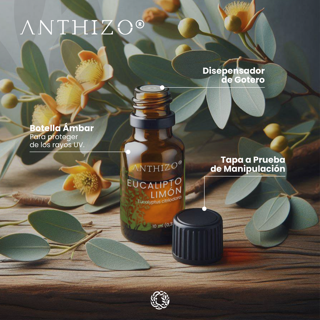 Aceite Esencial de Eucalipto Limón (Eucalyptus citriodora), 100% Puro, ANTHIZO