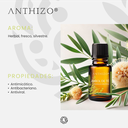 Aceite Esencial de Árbol de Té (Melaleuca Alternifolia), 100% Puro, ANTHIZO