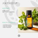 Aceite Esencial de Hierbabuena (Mentha Spicata), 100% Puro, ANTHIZO