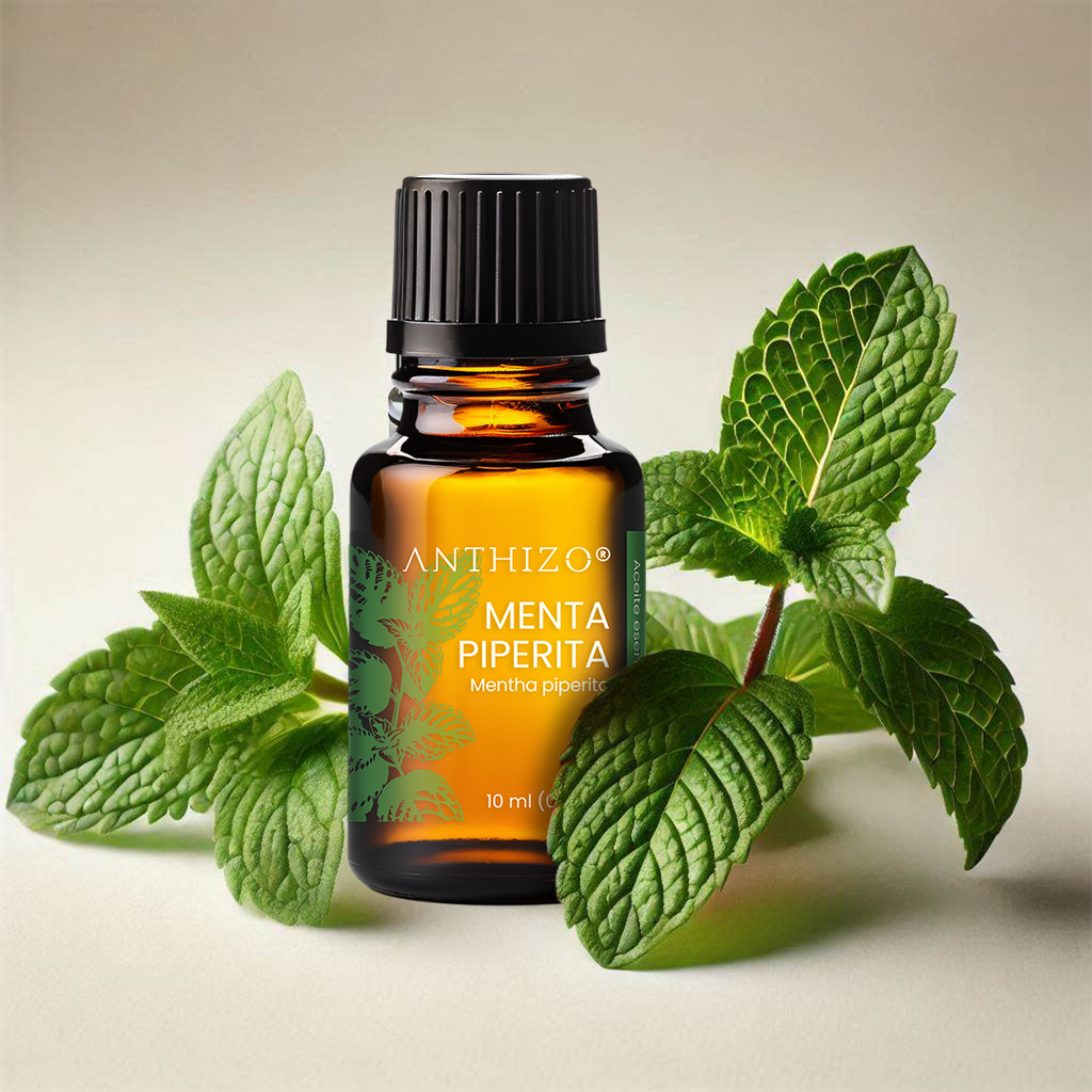 Aceite Esencial de Menta Piperita Orgánico (Mentha Piperita), 100% Puro, ANTHIZO