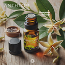 Aceite Esencial de Ylang Ylang Orgánico (Cananga Odorata), 100% puro, ANTHIZO