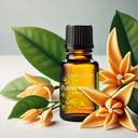 Aceite Esencial de Ylang Ylang Orgánico (Cananga Odorata), 100% puro, ANTHIZO