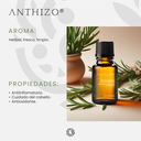 Aceite Esencial de Romero Orgánico (Rosmarinus Officinalis Cineoliferum), 100% Puro, ANTHIZO