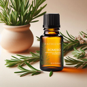 Aceite Esencial de Romero Orgánico (Rosmarinus Officinalis Cineoliferum), 100% Puro, ANTHIZO
