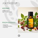 Aceite Esencial de Mejorana (Origanum majorana), 100% Puro, ANTHIZO