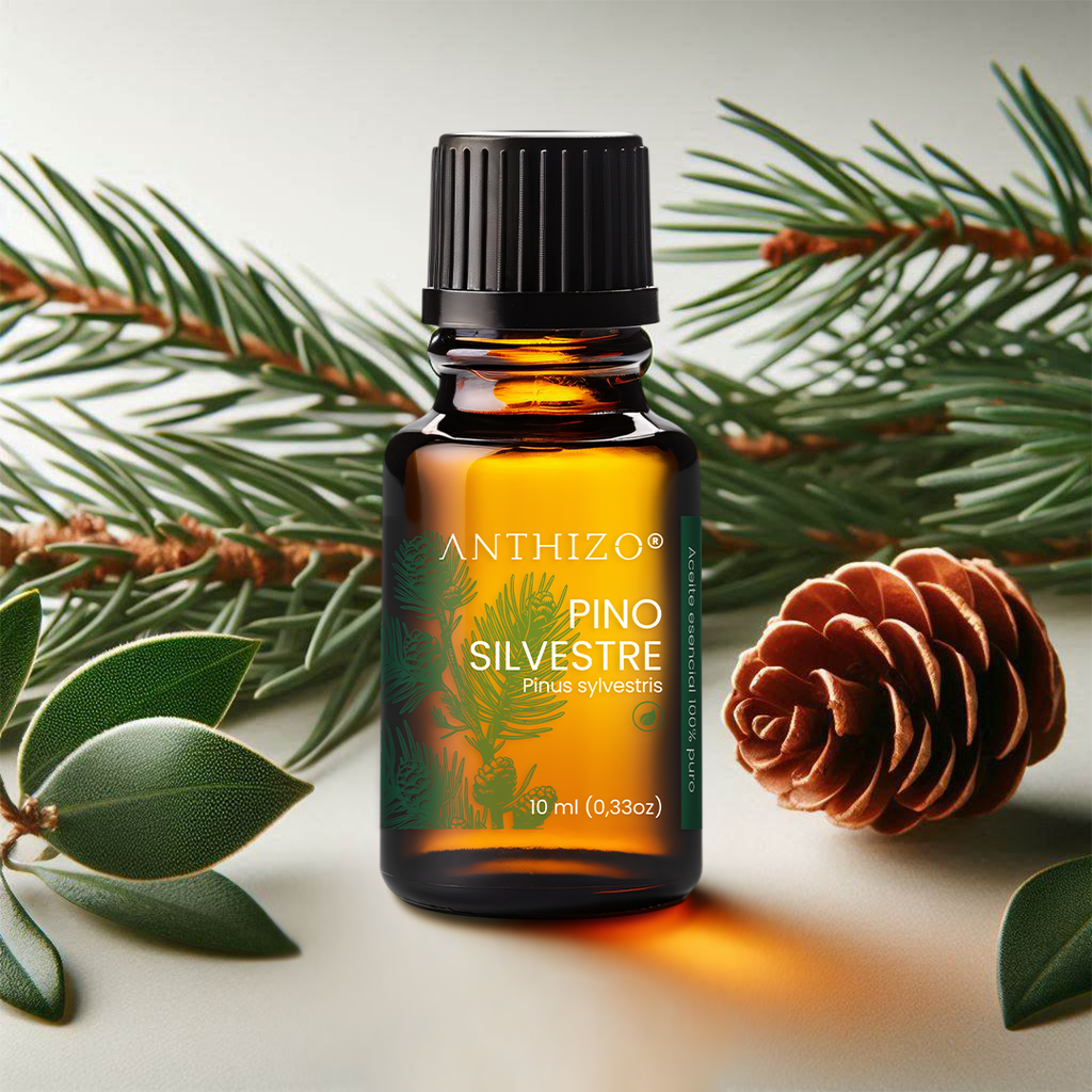 Aceite Esencial de Pino Silvestre Orgánico (Pinus Sylvestris), 100% Puro, ANTHIZO