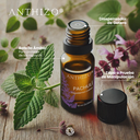Aceite Esencial de Patchuli (Pogostemon cablin), 100% Puro, ANTHIZO