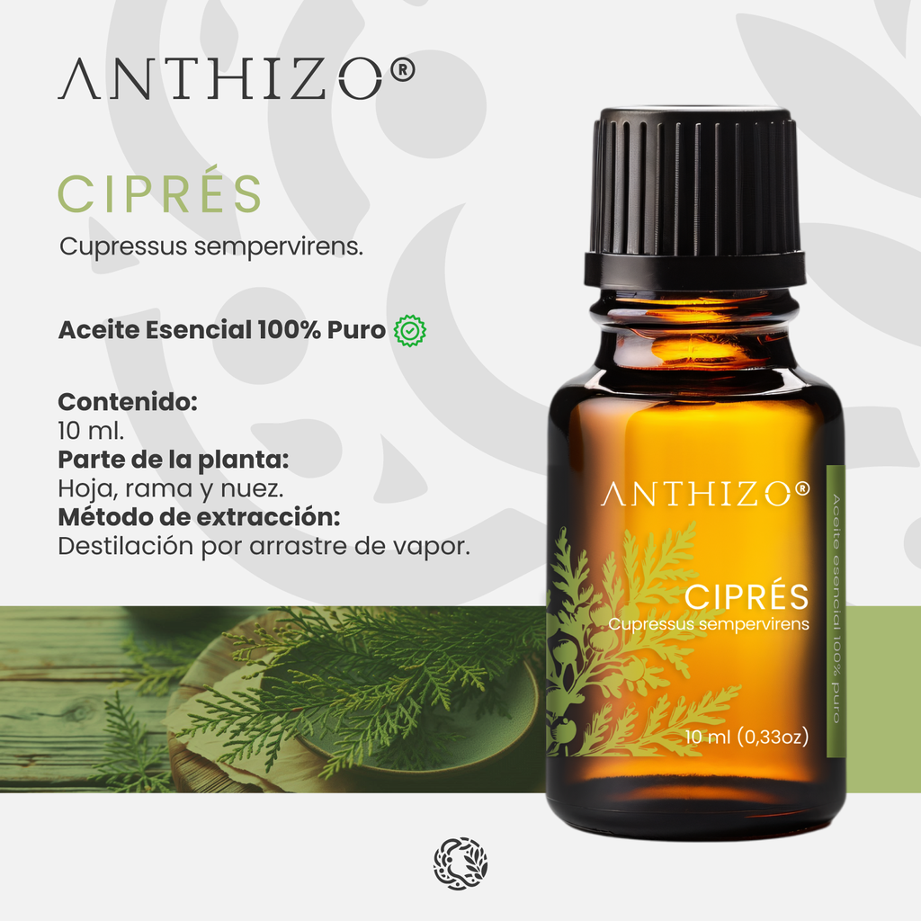 Aceite Esencial de Ciprés (Cupressus sempervirens), 100% Puro, ANTHIZO