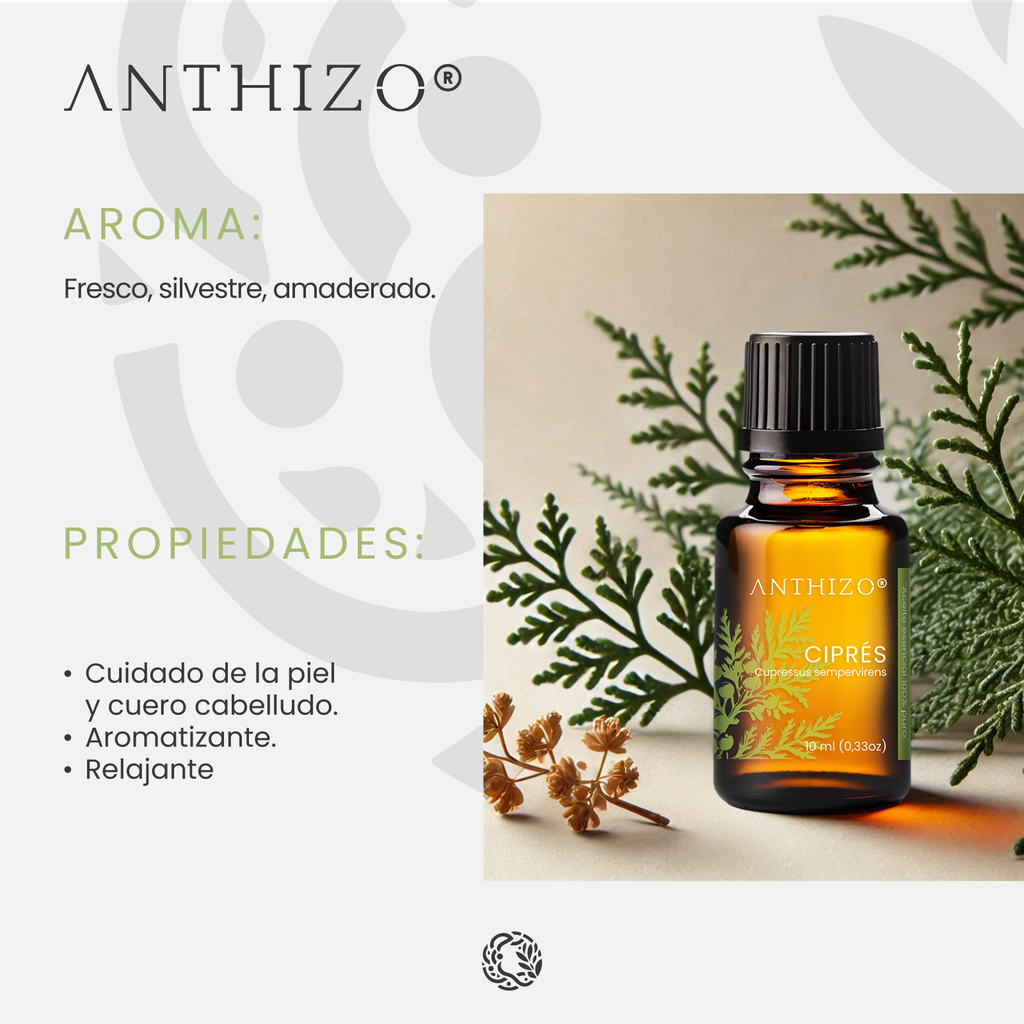 Aceite Esencial de Ciprés (Cupressus sempervirens), 100% Puro, ANTHIZO