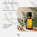 Aceite Esencial de Ciprés (Cupressus sempervirens), 100% Puro, ANTHIZO