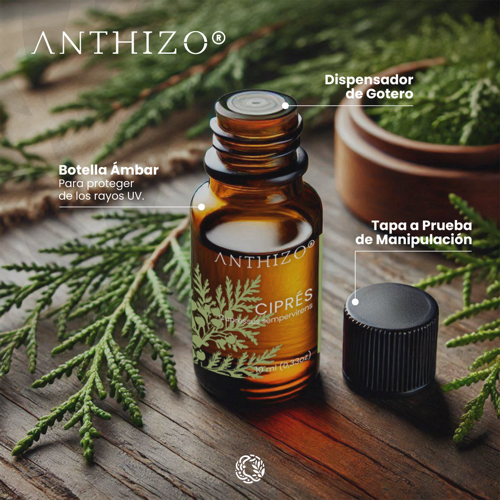 Aceite Esencial de Ciprés (Cupressus sempervirens), 100% Puro, ANTHIZO