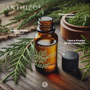 Aceite Esencial de Ciprés (Cupressus sempervirens), 100% Puro, ANTHIZO