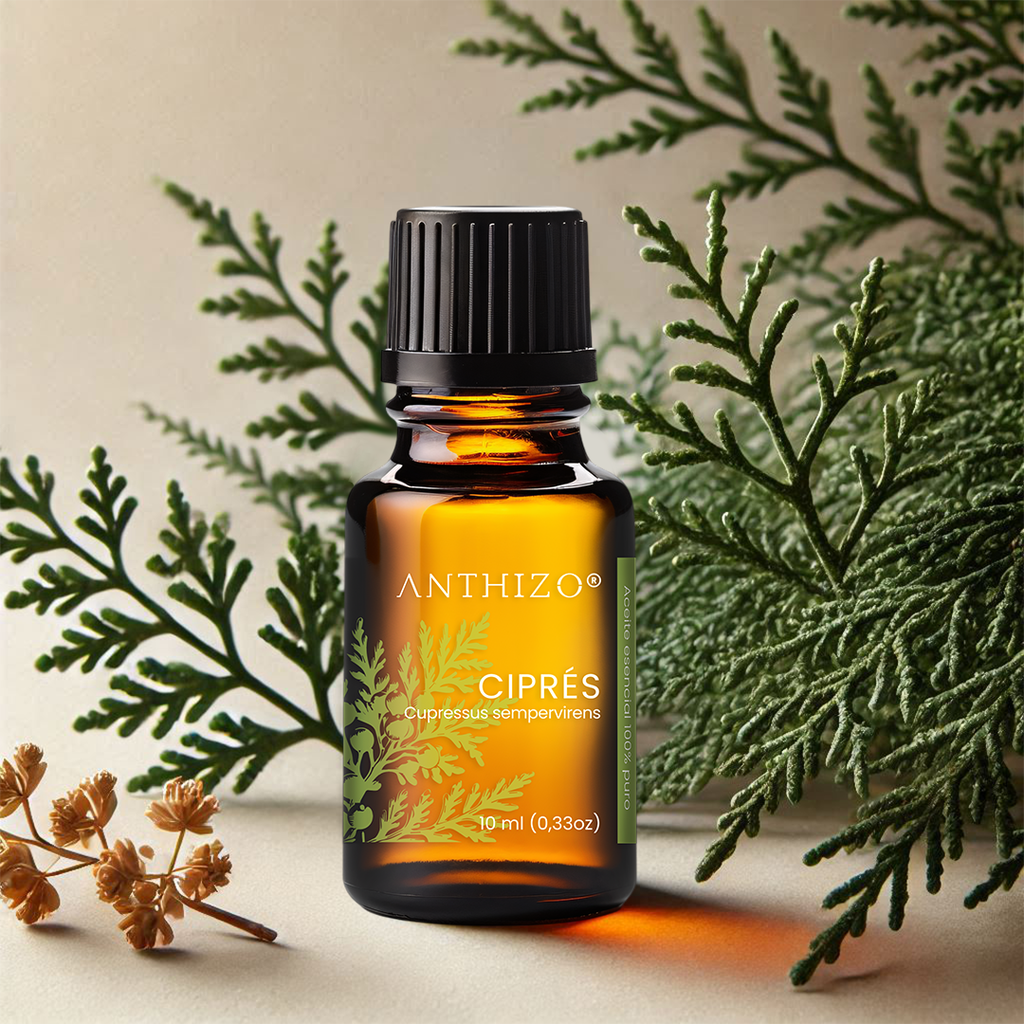 Aceite Esencial de Ciprés (Cupressus sempervirens), 100% Puro, ANTHIZO