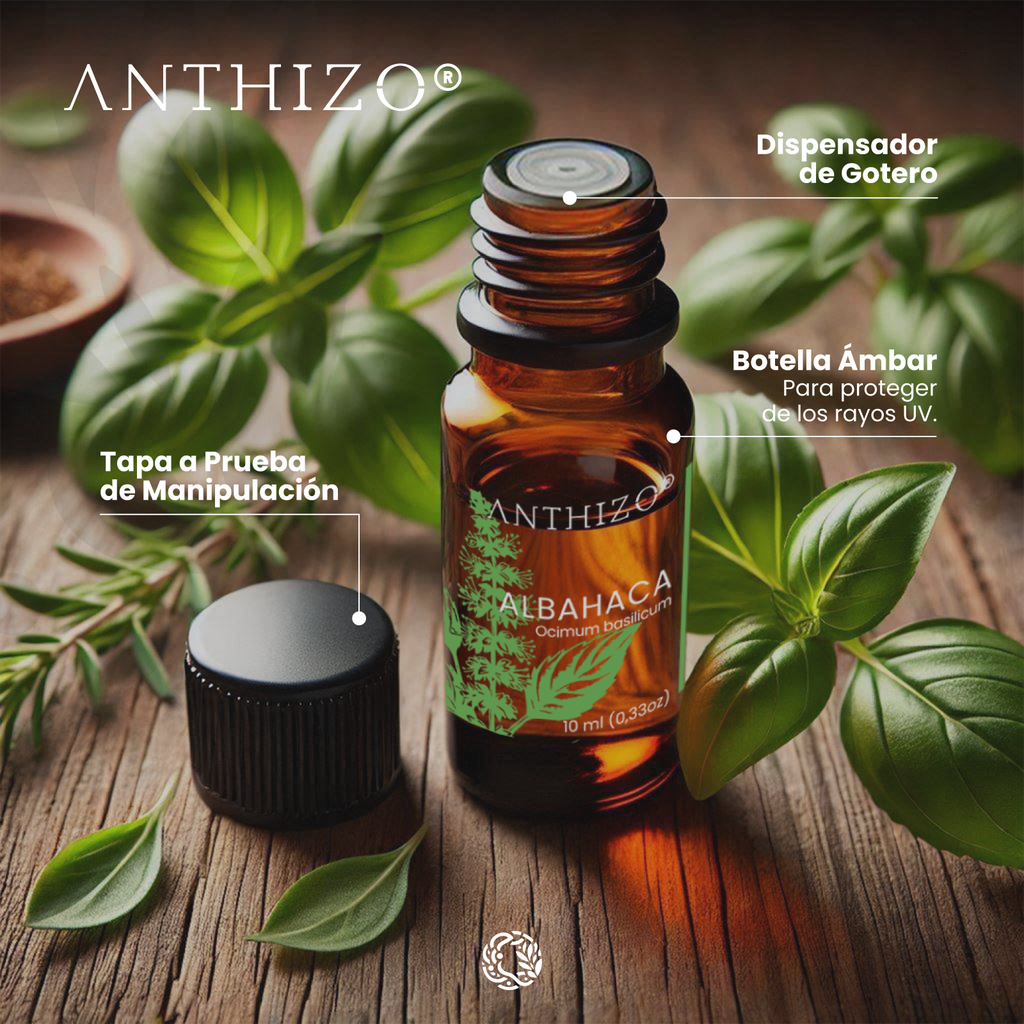 Aceite Esencial de Albahaca (Ocimum basilicum), 100% Puro, ANTHIZO