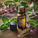 Aceite Esencial de Salvia Esclareal, 100% Puro, ANTHIZO