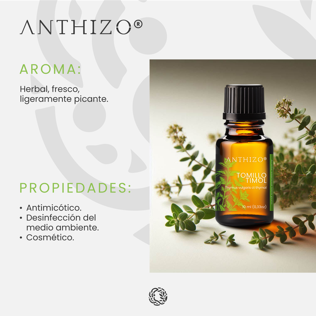 Aceite Esencial de Tomillo Timol 100% Puro, ANTHIZO 