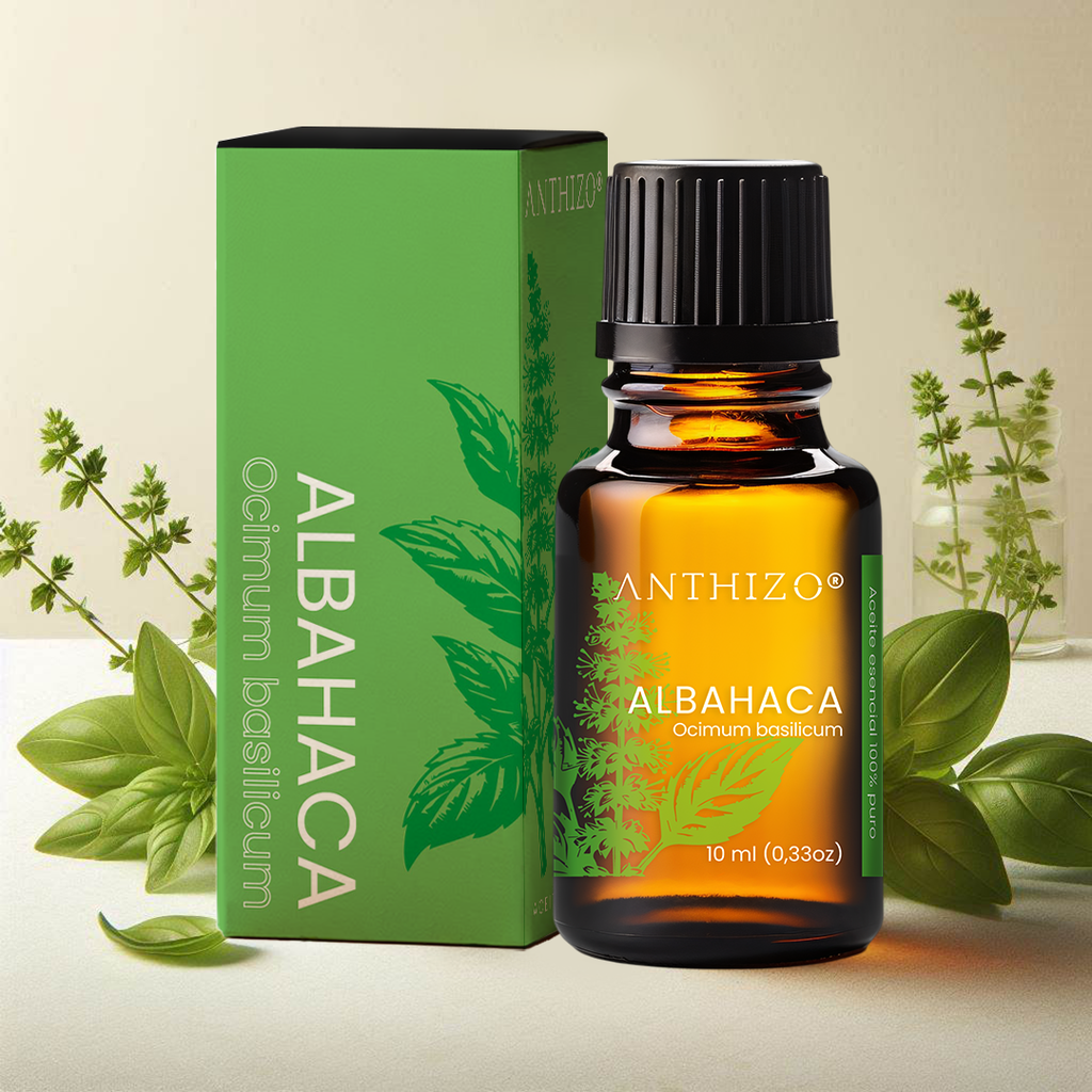 Aceite Esencial de Albahaca 100% Puro, ANTHIZO